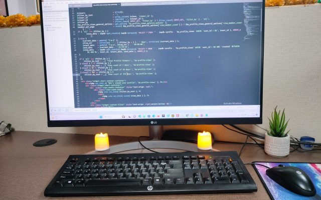 Frontend vs backend: care este drumul tău