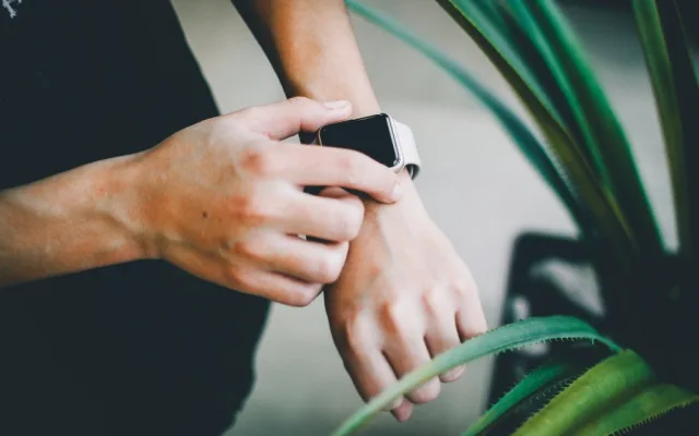 Ghid complet 2026: Fitbit Edge – păreri, funcții și la ce să fii atent înainte de achiziție