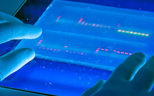 Nanotehnologia explicată: de la medicină la electronică